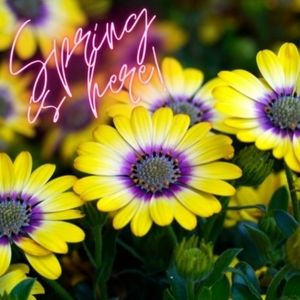 Spring & Summer items